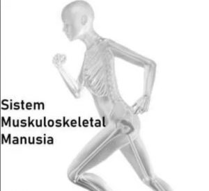 Sistem Muskuloskeletal Manusia
